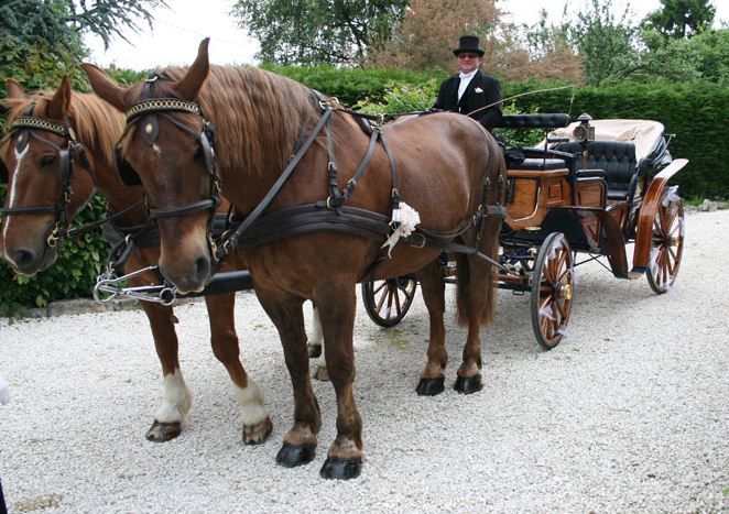 Location de calèche, cocher, mariage